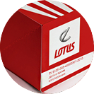 Пакет и коробка для компании LOTUS
